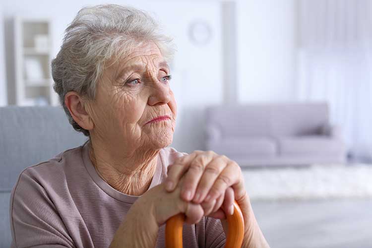 A quem se dirige o Vitamina P?